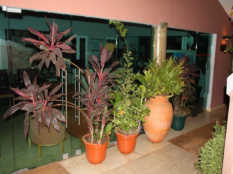 Coimbra Hotel & Spa บิสเซา ภายนอก รูปภาพ